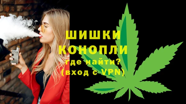 крисы Няндома