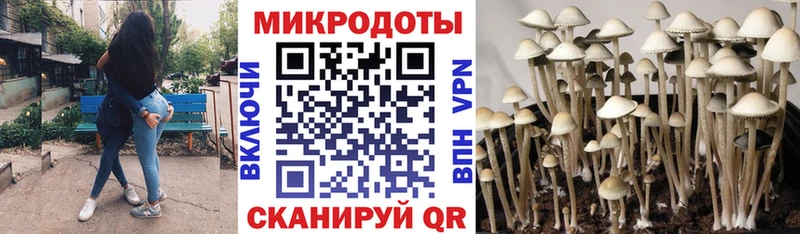 Купить где  Арсеньев  Галлюциногенные грибы мухоморы 